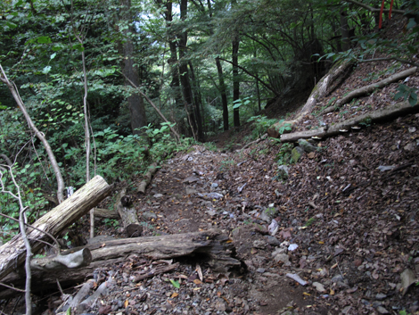 20151021hike (370)